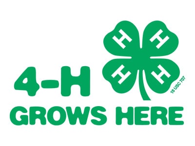 4h
