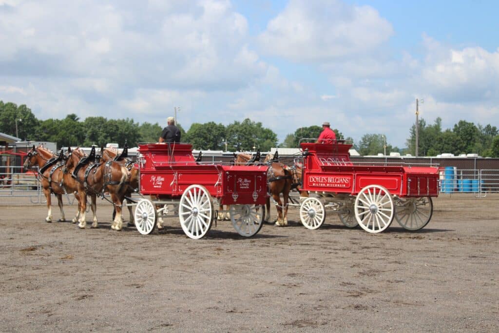 fair5